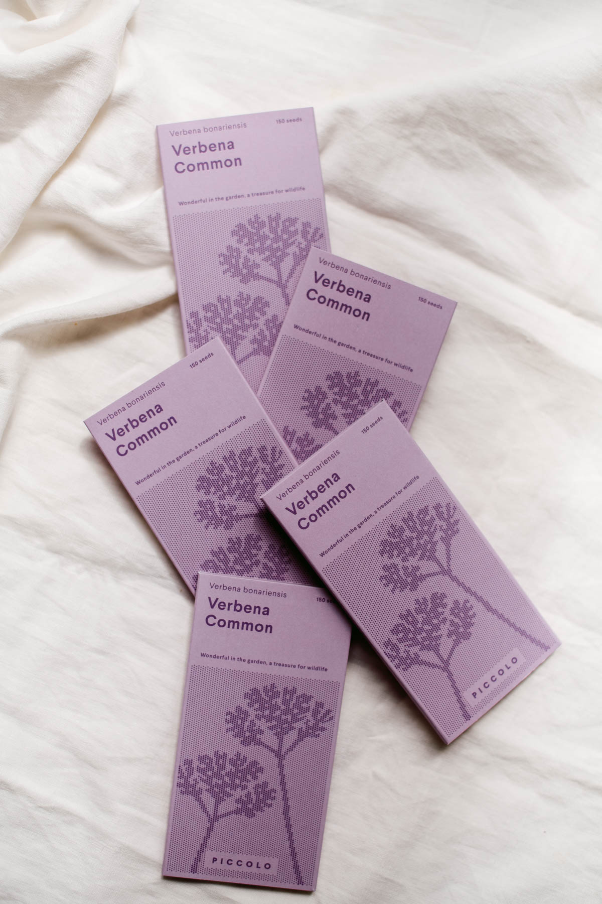 semi di verbena officinale, pianta perenne mediterranea con piccoli fiori viola
