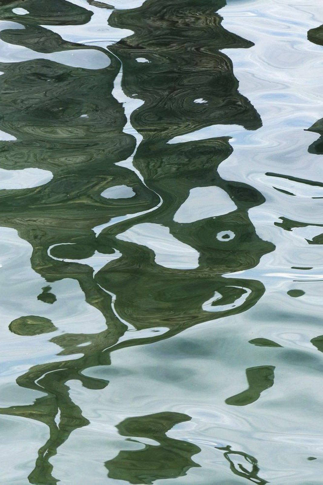 Candela artigianale in cera di soia LAGO La Calathea, ispirazione acqua del lago