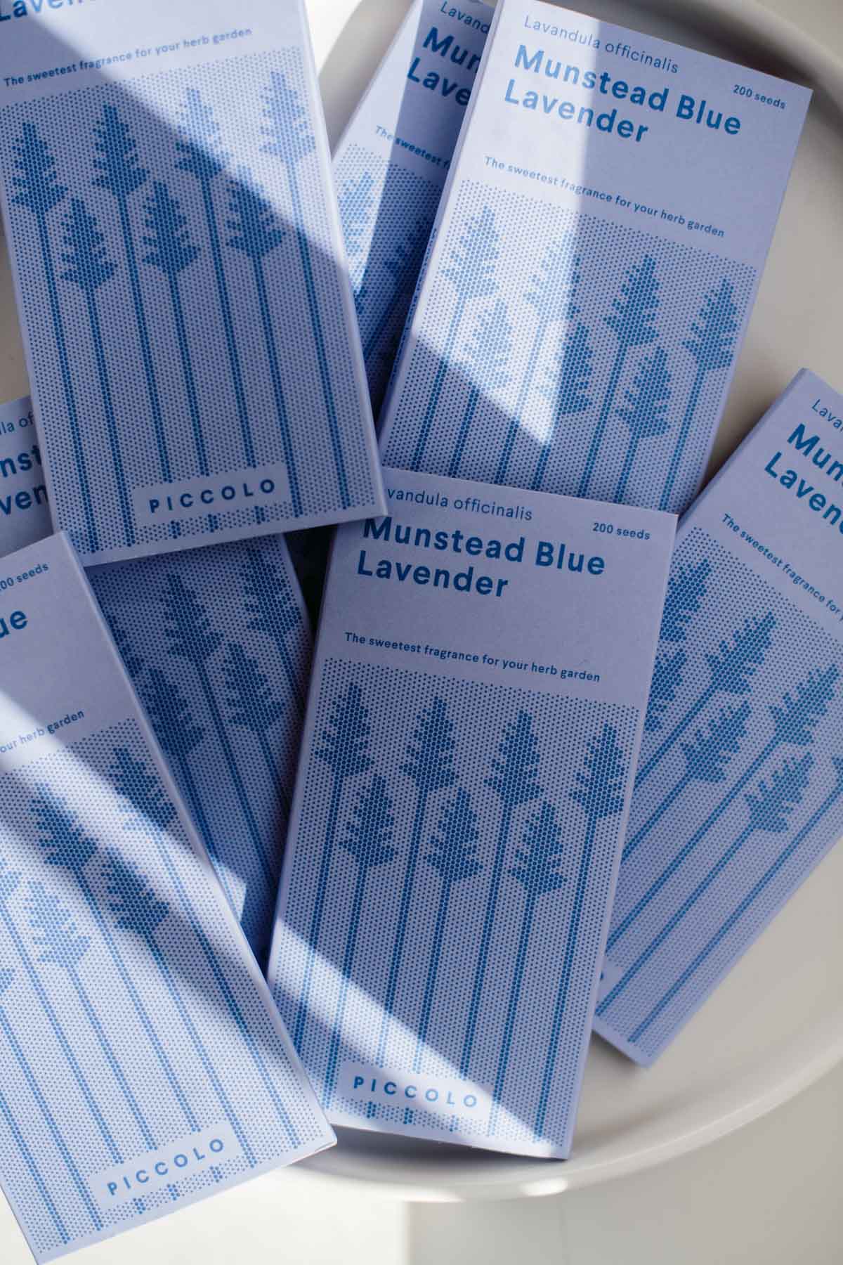 semi di lavanda munstead blue, pianta perenne estiva fiorita e profumata, prodotto in italia da piccolo seeds