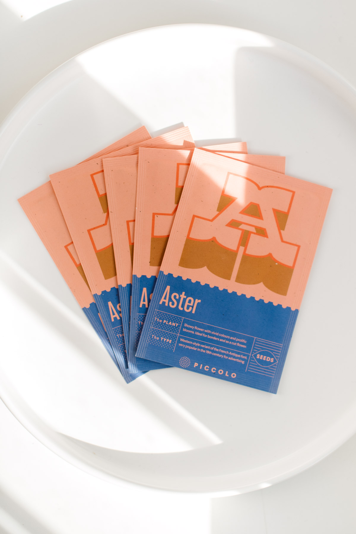 semi di aster, pianta con fioritura abbondante per bordure miste, packaging in carta piccolo seeds