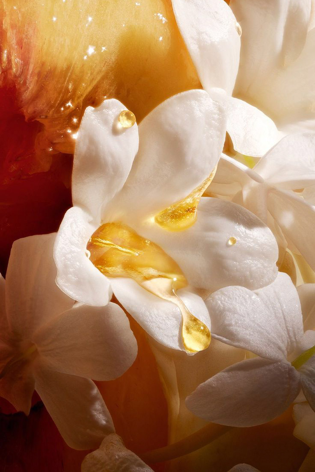 Candela artigianale ai fiori d'arancio Era, La Calathea, con neroli, pompelmo e vaniglia