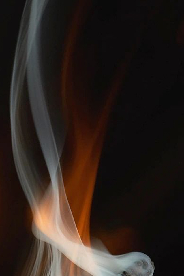 fragranze profumate cuoiate e maschili